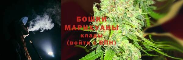 apvp Козельск