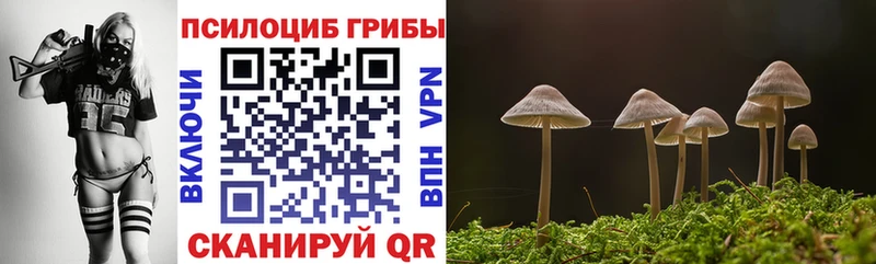 Псилоцибиновые грибы ЛСД  Кораблино 